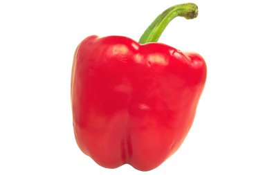 Beyaz izole tek kırmızı dolmalık biber