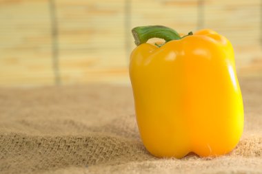 Tek sarı dolmalık biber bambu duvar arka plan ile eski çuval üzerinde