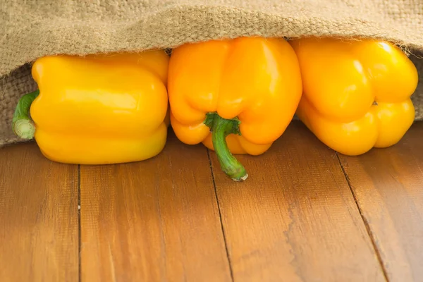 Back lit Tree yellow bell pepper pour out of old agriculture sack on top of wooden table with huge negative space for usage — Stock Photo, Image