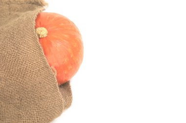 Turuncu kabak kısmen tarım tarafından şal Riped çuval beyaz arka plan üzerinde kullanılan.