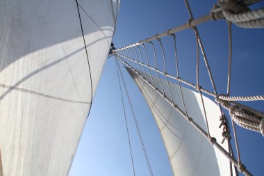 büyük beyaz yelken