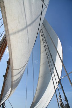 büyük beyaz yelken