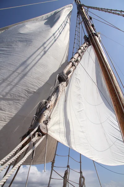 大きな白い帆 — ストック写真