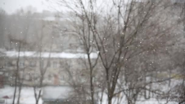 Fuori dalla finestra, la neve sta cadendo. Stagione inverno. fiocchi di neve stanno lentamente cadendo — Video Stock