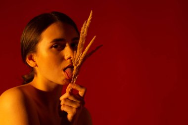 Kırmızı arka planda bir buket ölü tahtası olan bir kız.