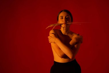 Kırmızı arka planda bir buket ölü tahtası olan bir kız.