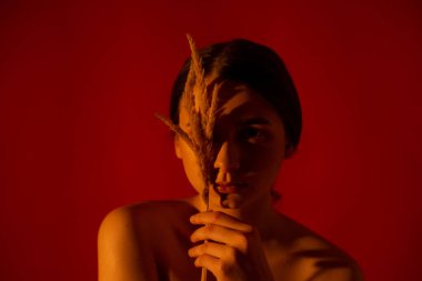 Kırmızı arka planda bir buket ölü tahtası olan bir kız.