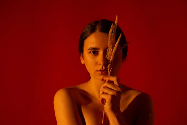Chica con un ramo de madera muerta sobre un fondo rojo —  Fotos de Stock
