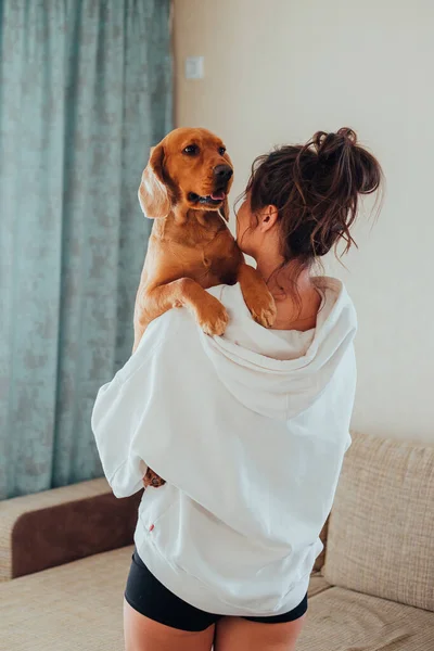 A mulher da casa mantém um cão em seus braços, a raça English Cocker Spaniel — Fotografia de Stock