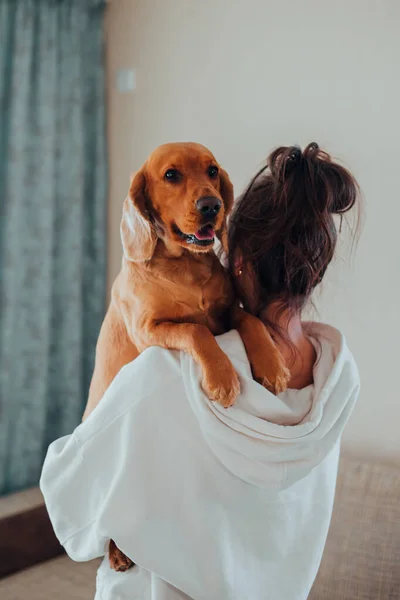 De vrouw des huizes houdt een hond in haar armen, het ras Engelse Cocker Spaniel — Stockfoto