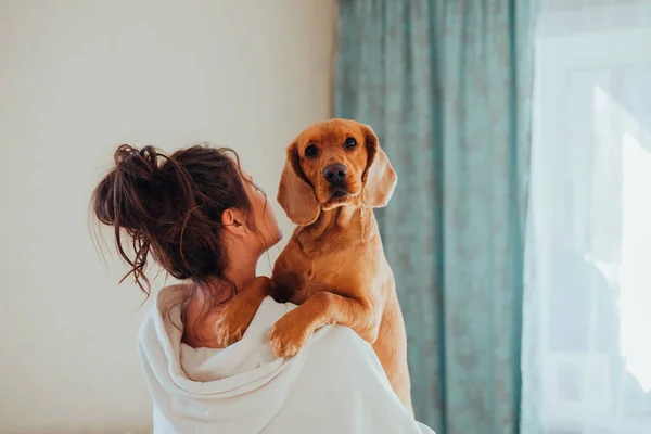 A mulher da casa mantém um cão em seus braços, a raça English Cocker Spaniel — Fotografia de Stock