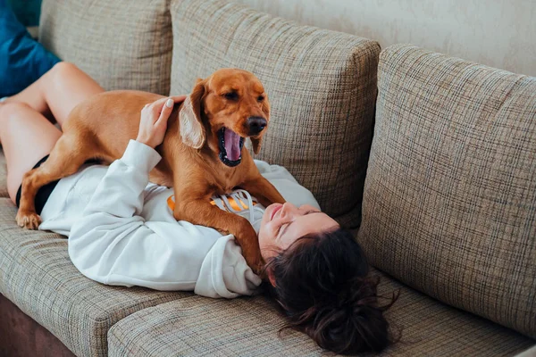 Собака зевает, лежа на девушке дома — стоковое фото
