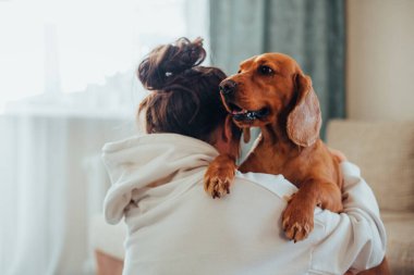 Bir bayan Cocker Spaniel köpeğine sarıldı.