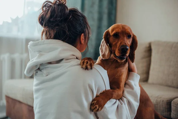 코코 스페인 개를 안고 있는 여자 — 스톡 사진