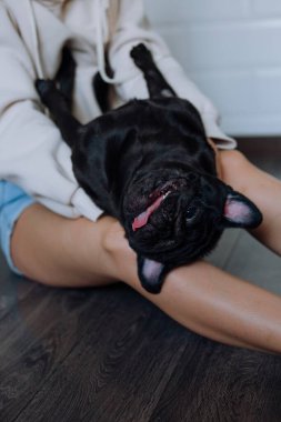 Kız evde kollarında siyah bir köpek tutuyor.