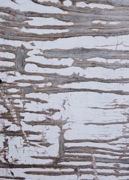 Ξύλινη υφή με ραγισμένο παλιό χρώμα — Φωτογραφία Αρχείου