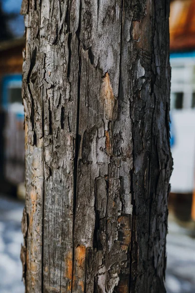 Texture di assi vecchie, e la corteccia di un albero — Foto Stock