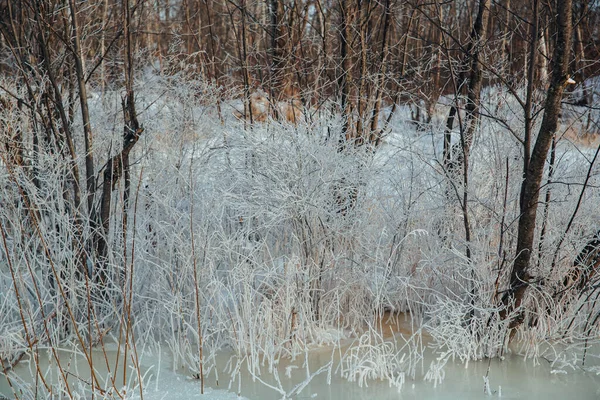 Paisagem de inverno na floresta coberta de neve. Rússia — Fotografia de Stock