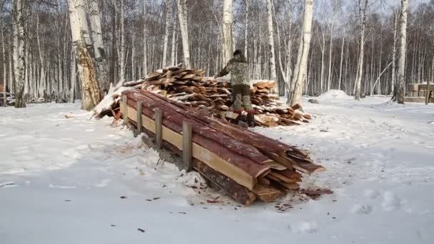 Bir oduncu, Rusya 'da kışın yakacak odun bulmak için ormanda bir ağaç kesiyor. — Stok video