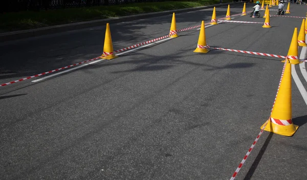 Käpyjä harmaalla asfalttipohjalla — kuvapankkivalokuva