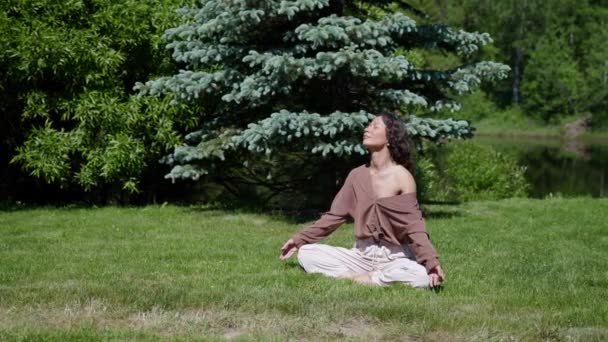 公園で幸せな若い女性が瞑想している。女の子は夜明けにヨガをします。Creative Concept — ストック動画