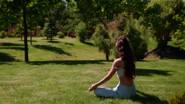 Meditasyon pratiği. Bir kadın namaste yoga pozu verir. Yoga asanası alıştırması yap. Sakin ol ve doğada nefes alma egzersizleri yap. — Stok video