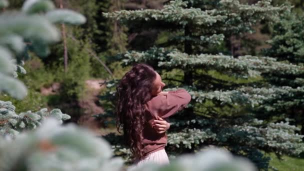 Una joven feliz baila por la tarde en tiempo soleado en la naturaleza danzas orientales — Vídeos de Stock