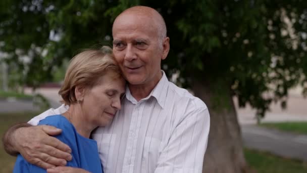 Um casal de idosos avós abraçar em um parque de verão. Feliz velho marido da família, esposa desfrutar de tempo passado juntos após a aposentadoria — Vídeo de Stock