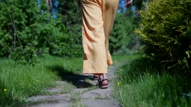 一个夏天的早晨，一个穿着凉鞋在公园里散步的女人的特写镜头 — 图库视频影像