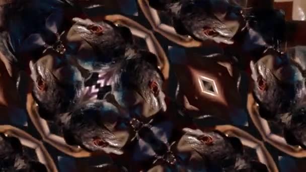 Geometrische psychedelische caleidoscoop patronen dansen vrouw portret — Stockvideo