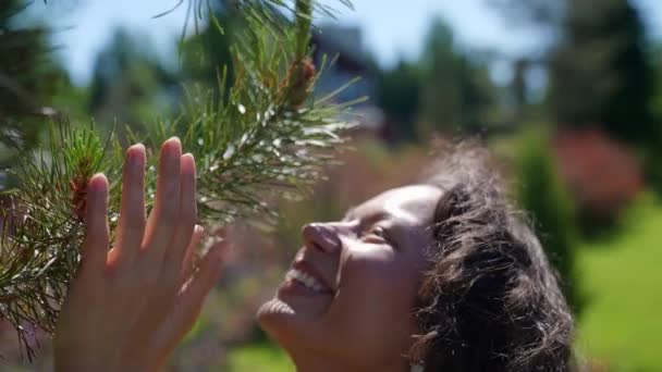 Retrato de una mujer encantadora disfrutando de la unidad con la naturaleza tocando una rama de un árbol de coníferas con sus manos — Vídeo de stock