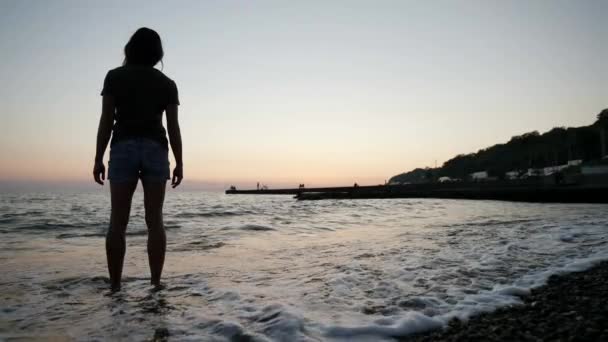 Οπίσθια όψη μια γυναίκα στέκεται στην παραλία του ωκεανού στο ηλιοβασίλεμα κοιτάζοντας την απόσταση από την ημέρα που περνά — Αρχείο Βίντεο