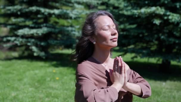 自然界の瞑想は統一感と静けさの純粋な呼吸法です — ストック動画