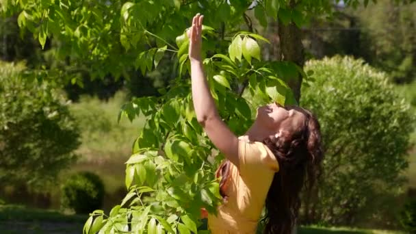 自然との晴れた日の団結に木の枝で踊るヒッピー女性の肖像画 — ストック動画