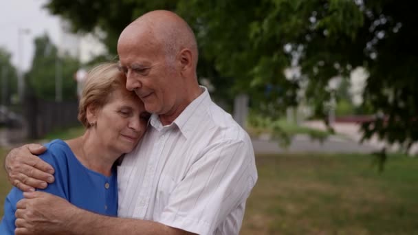 Una pareja de ancianos lindos casados en un paseo por el parque en el verano amor todas sus vidas juntos — Vídeo de stock