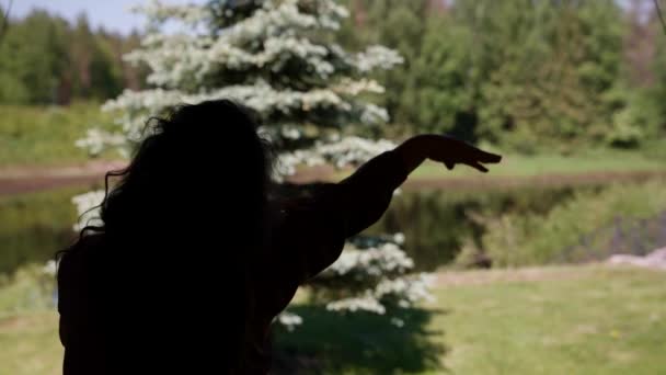 一个优雅女子在大自然中跳东方舞的轮廓 — 图库视频影像