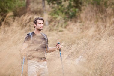 Beyaz adam altın çimenlerde tek başına yürüyor sırt çantalarıyla yürüyüş yapıyor, önünde hedefler arıyor. Yürüyüş konsepti.