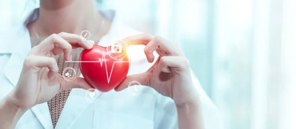 Médico Mulher Uniforme Branco Segurando Coração Médico Vermelho Cardiologia Verificação — Fotografia de Stock