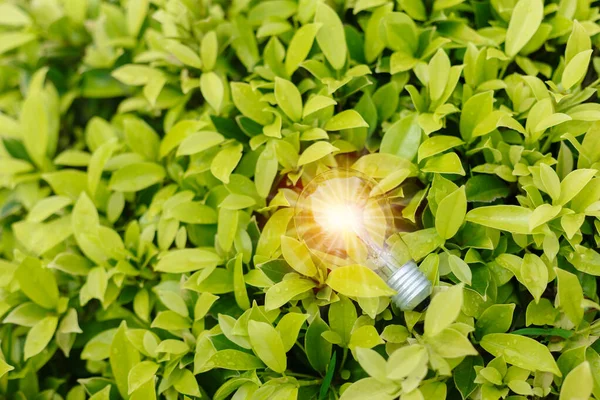 Light bulb with light flare green nature background. eco innovation environmental and creative concepts. copy space banner.