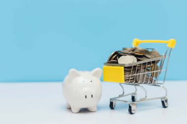 Bozuk para ve kumbaralı alışveriş arabası. Yatırım işi satışı ve satın alma. kaydetme ve ödeme konsepti.