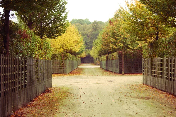 Vintage park, Versailles, Fransa