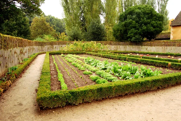 Piccolo cottage garden nel borgo della Regina, Versailles, Francia Immagine Stock