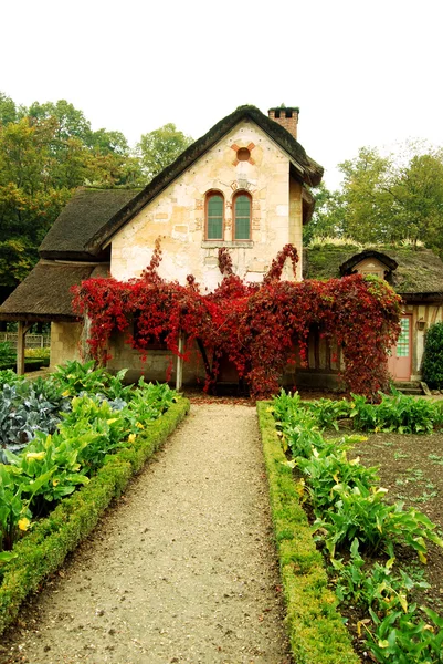 Small cottage garden in the Queen's hamlet, Versailles, France Royalty Free Stock Photos