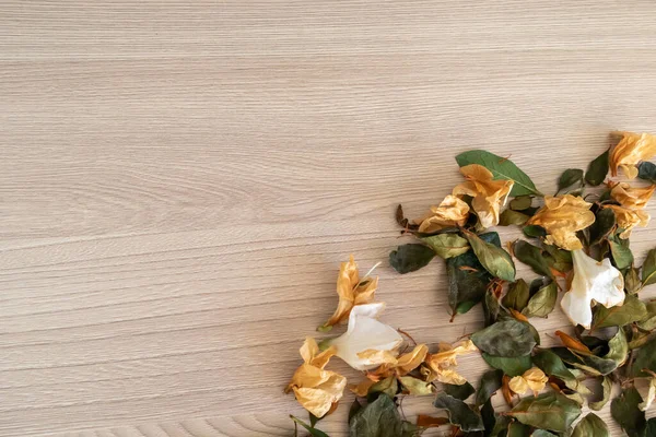 Dry flowers leaves on wooden table top view. Colorful herbs tea flat lay.