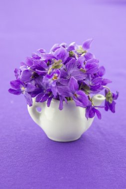Wild violets on my table clipart