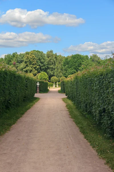 Chodník — Stock fotografie