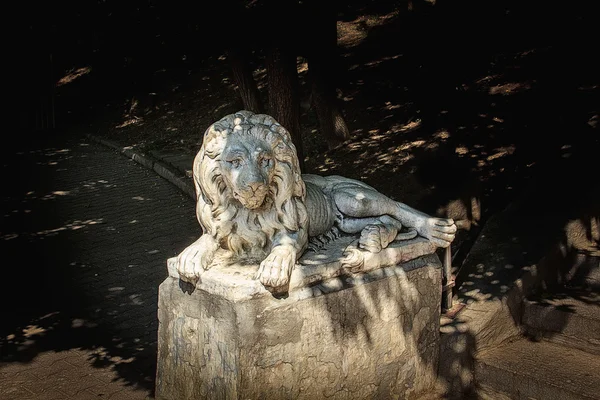 eski aslan