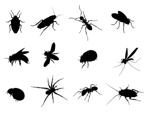 böcek siyah vector silhouettes illüstrasyon
