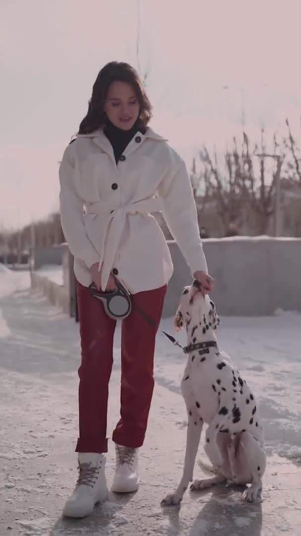 Κορίτσι αστείο περπάτημα με τα σκυλιά. Κάθετη βίντεο — Αρχείο Βίντεο