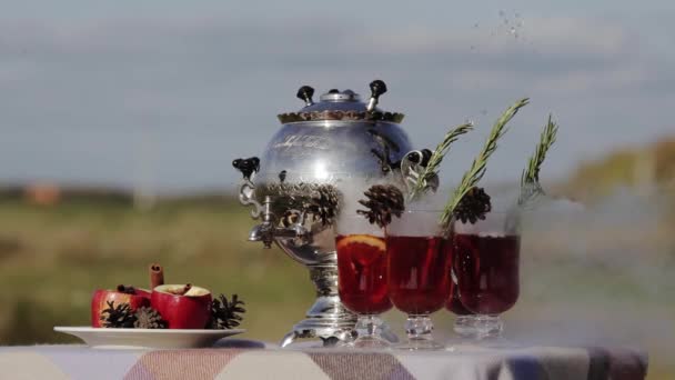뜨거운 mulled 와인 장식 — 비디오